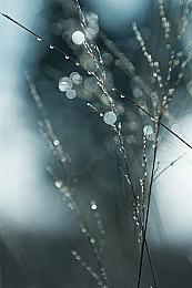 芝村裕吏青春RPG《循环8降神》发售 官方贺图同时公布